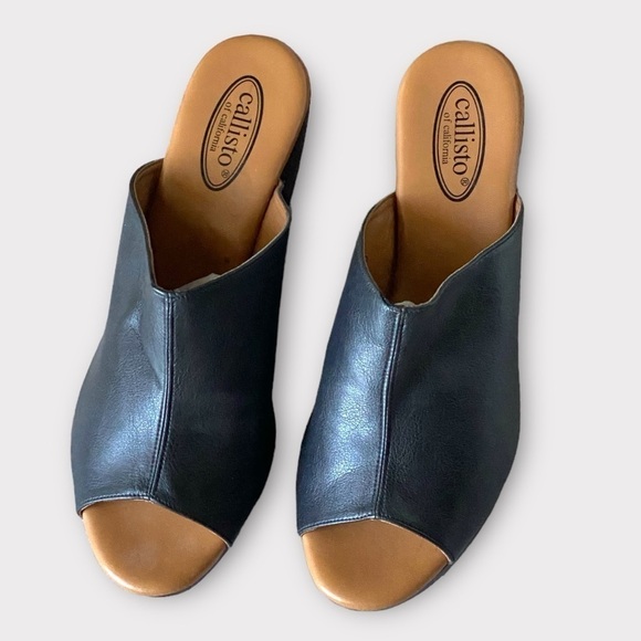 CALLISTO Black Leather Wooden Wedge Mules Clogs Open Toe Gothic Size 9 Gothic - Picture 2 of 13